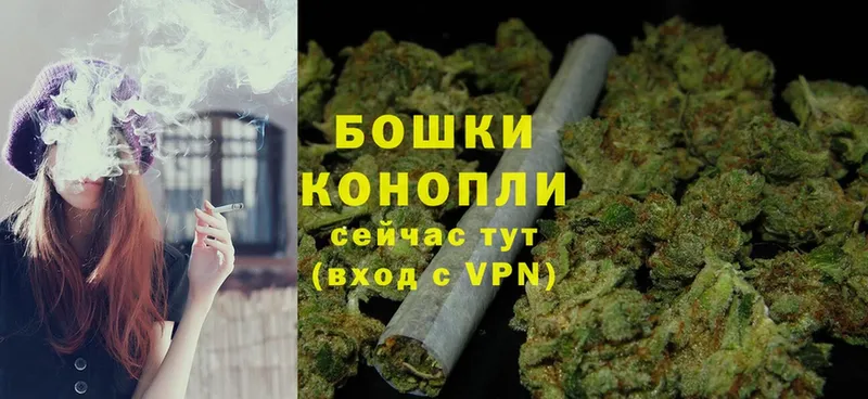 Канабис SATIVA & INDICA  Солигалич 